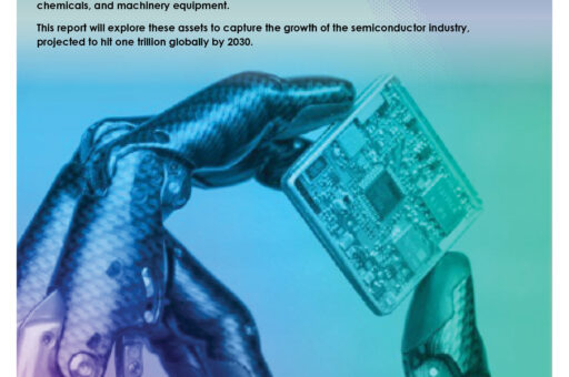 Team NEO Semiconductor QER