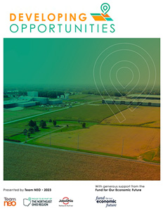 Developing Opportunities Report